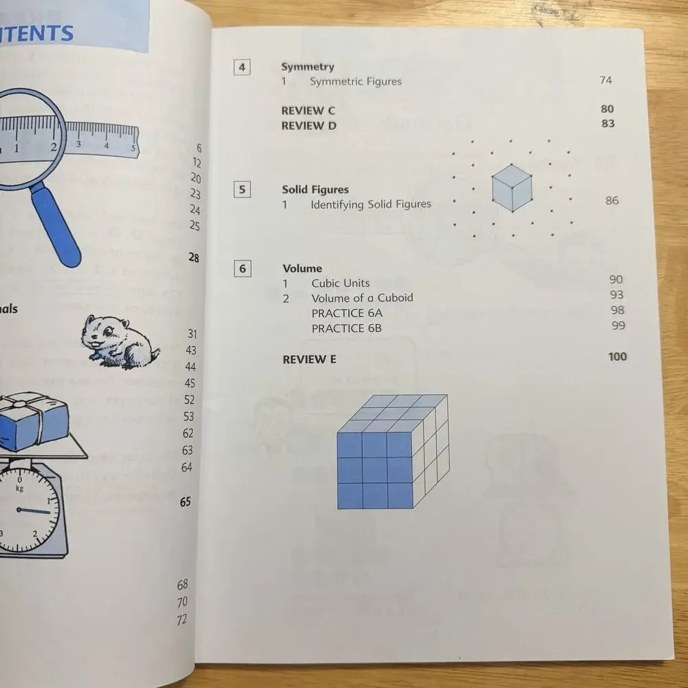 Primary Mathematics 4B Textbook Homeschool Curriculum Paperback Book